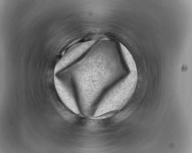 X0000090630096200708141443