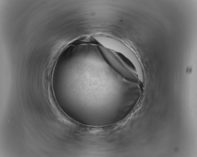 X0000090630097200708141443