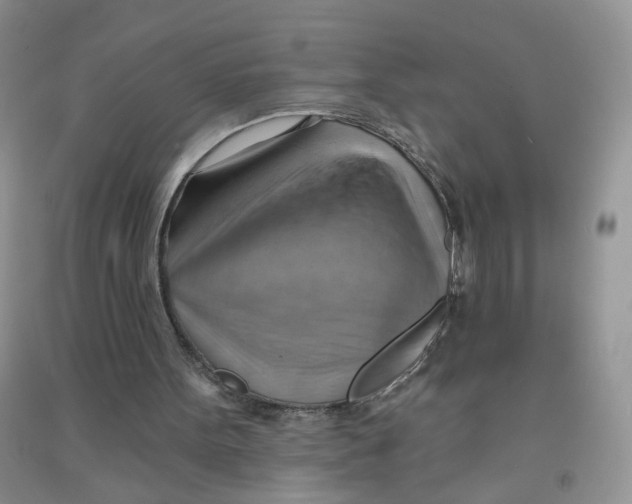 X0000090630099200708141443