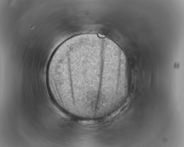 X0000090630100200708141443