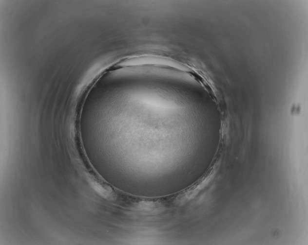 X0000090630101200708141443