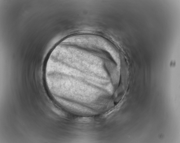 X0000090630102200708141443