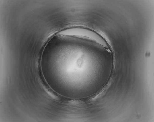 X0000090630105200708141442
