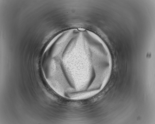 X0000090630106200708141442