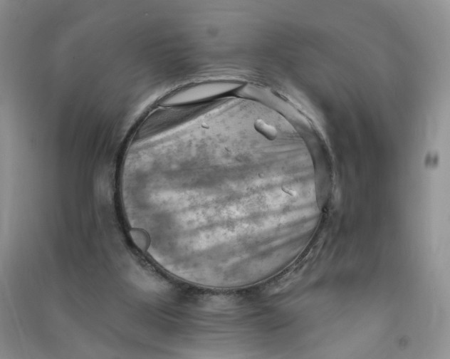 X0000090630107200708141442