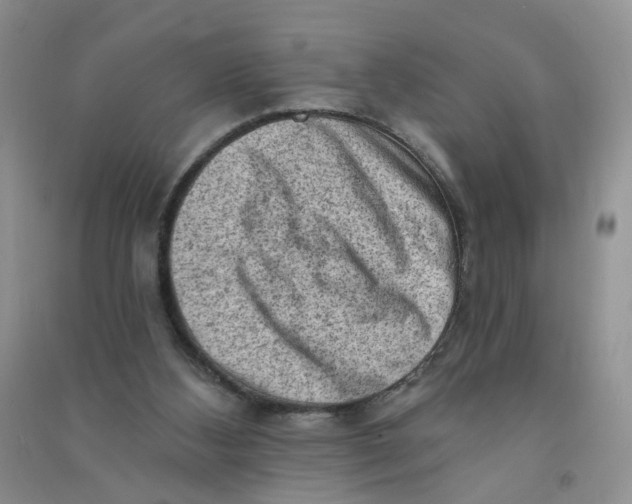 X0000090630108200708141442