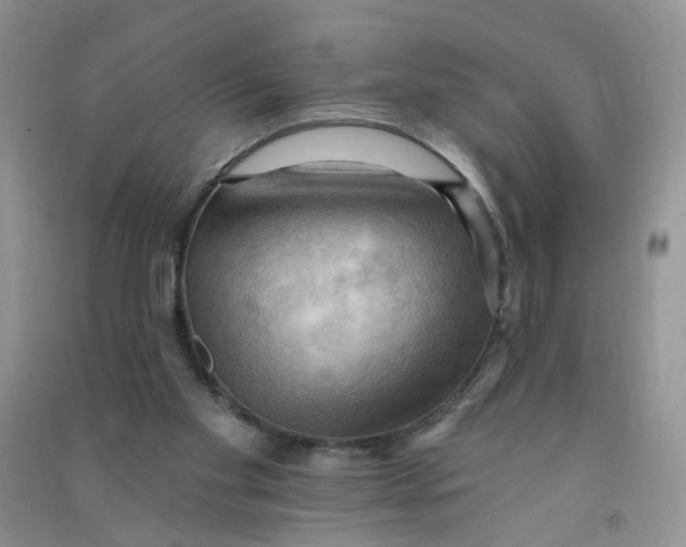 X0000090630109200708141442