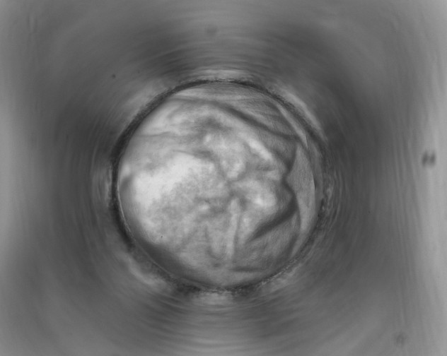 X0000090630110200708141442
