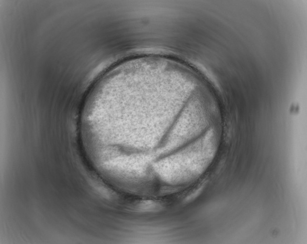 X0000090630111200708141442