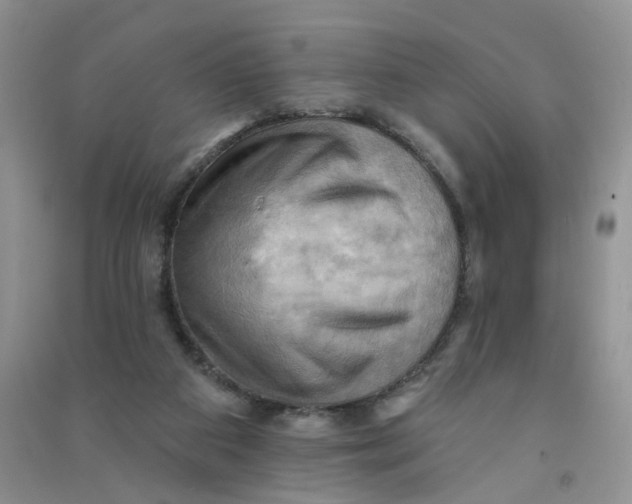 X0000090630113200708141442
