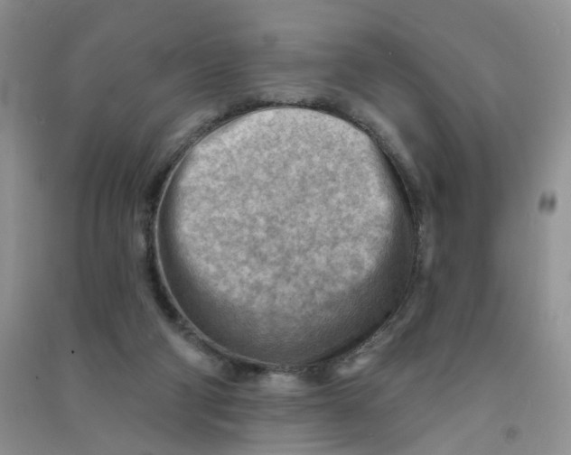 X0000090630114200708141442