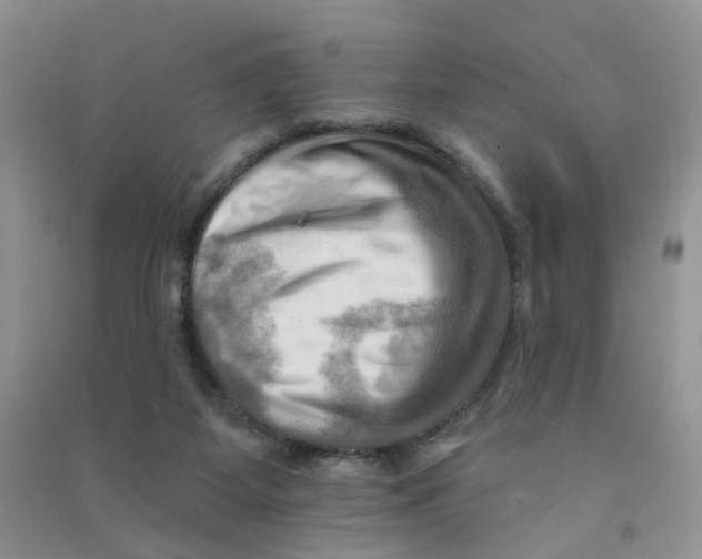 X0000090630115200708141442