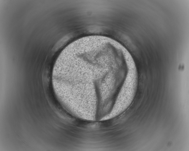 X0000090630116200708141442