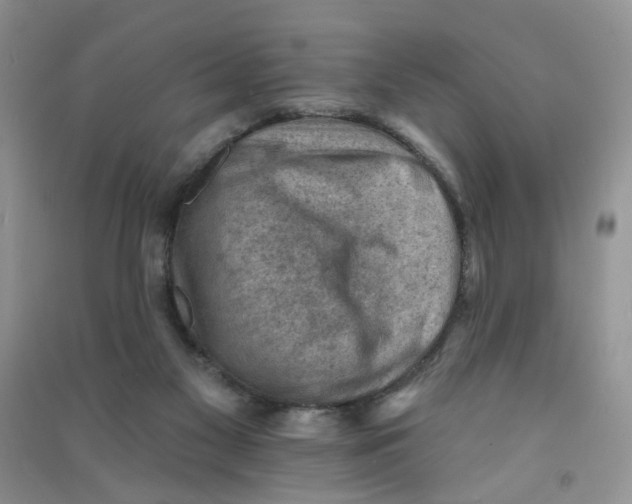 X0000090630117200708141442