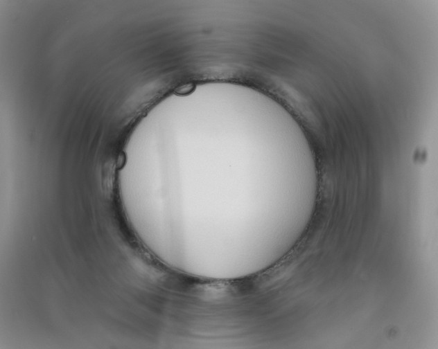 X0000090630118200708141442