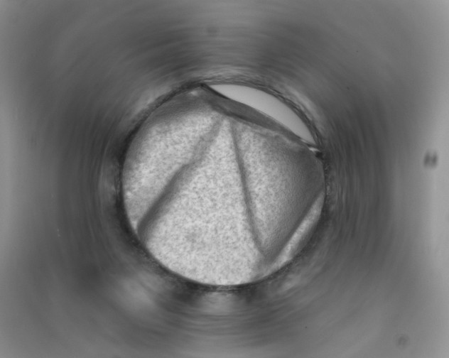 X0000090630119200708141442