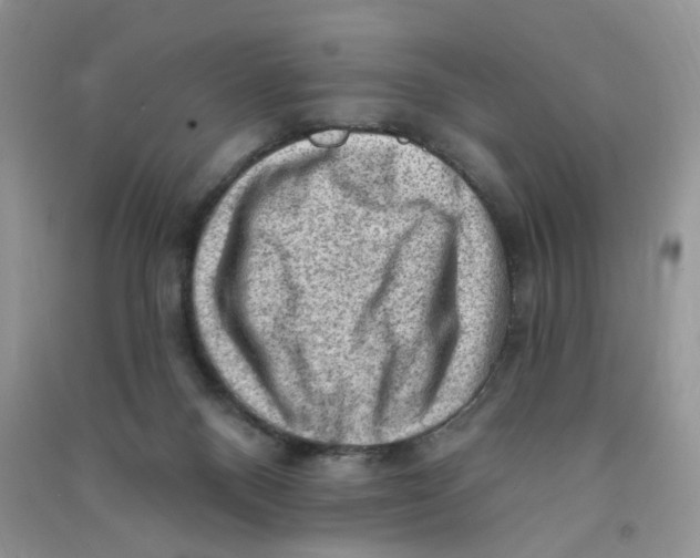 X0000090630120200708141442