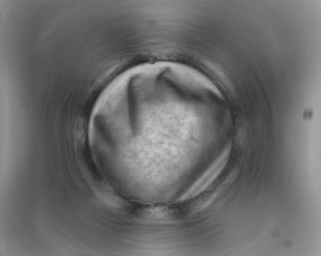 X0000090630121200708141442
