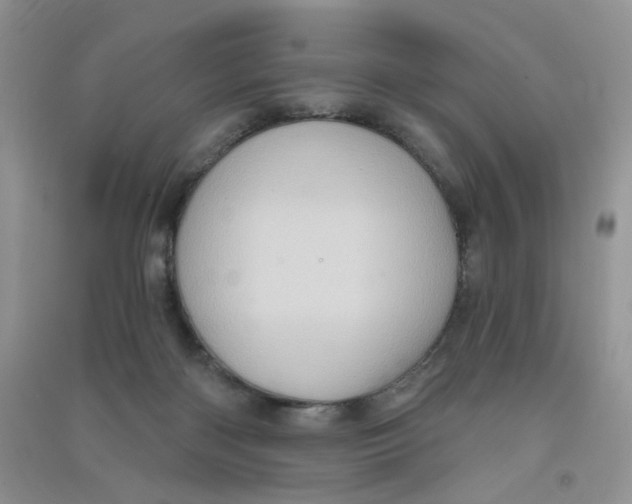 X0000090630122200708141442