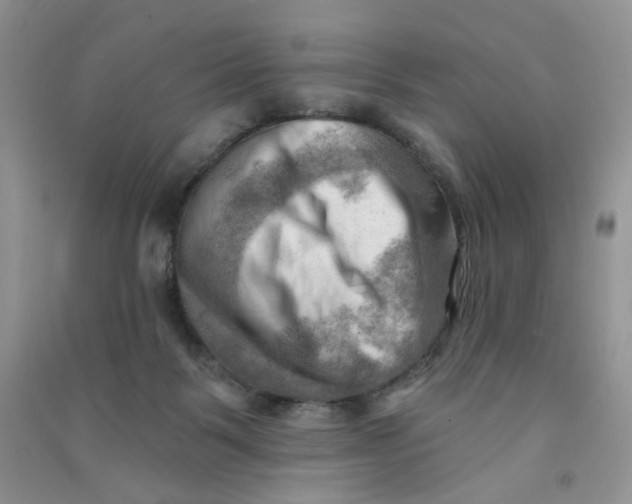 X0000090630123200708141442