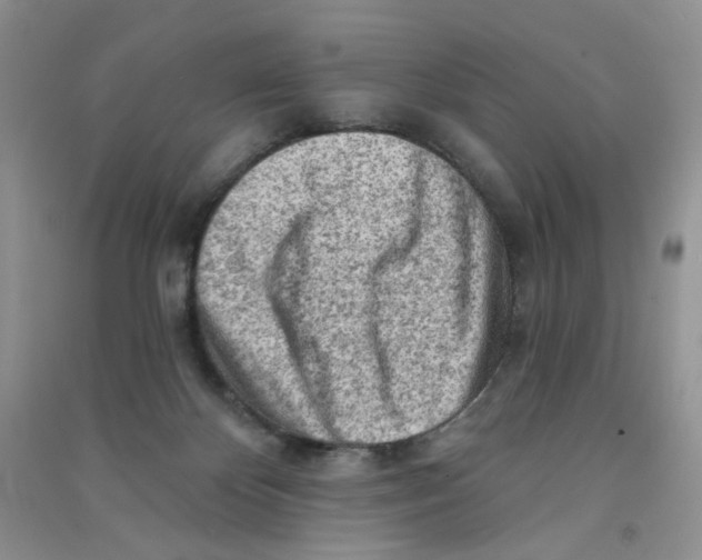 X0000090630124200708141442