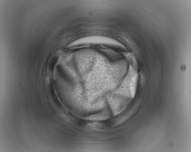 X0000090630125200708141442