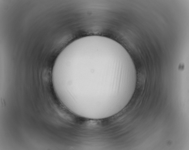 X0000090630126200708141442