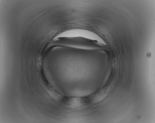 X0000090630127200708141442