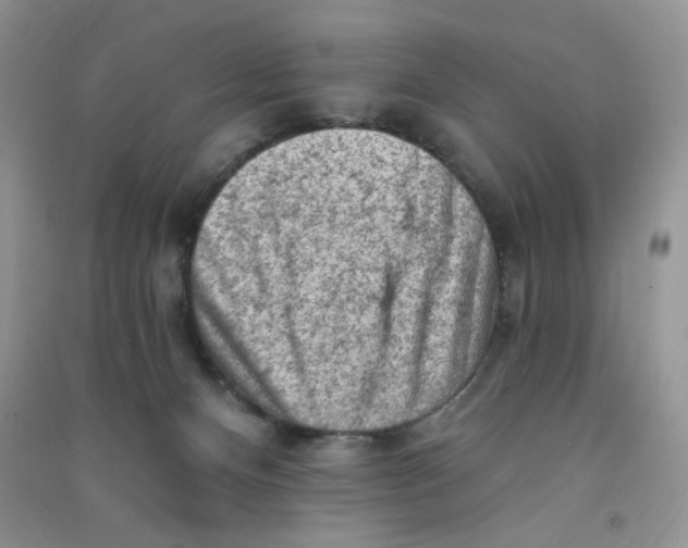 X0000090630128200708141442