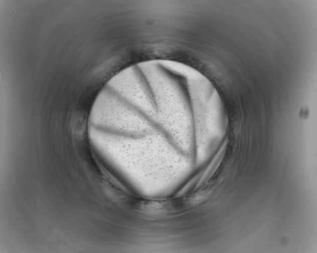 X0000090630129200708141442