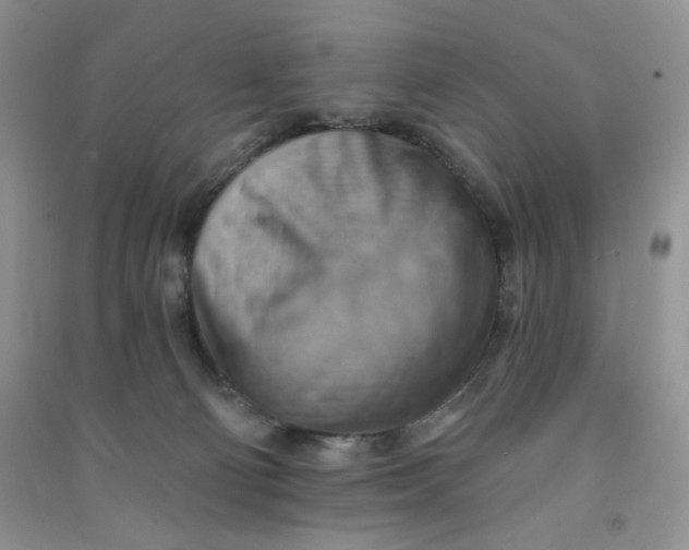 X0000090630130200708141442
