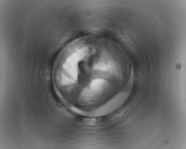 X0000090630131200708141442