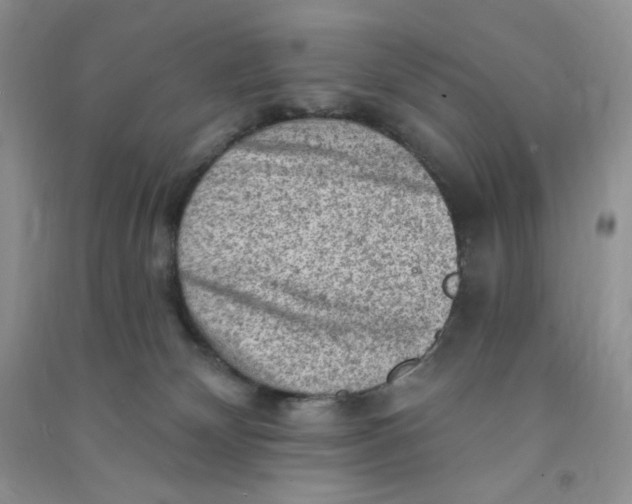 X0000090630132200708141442