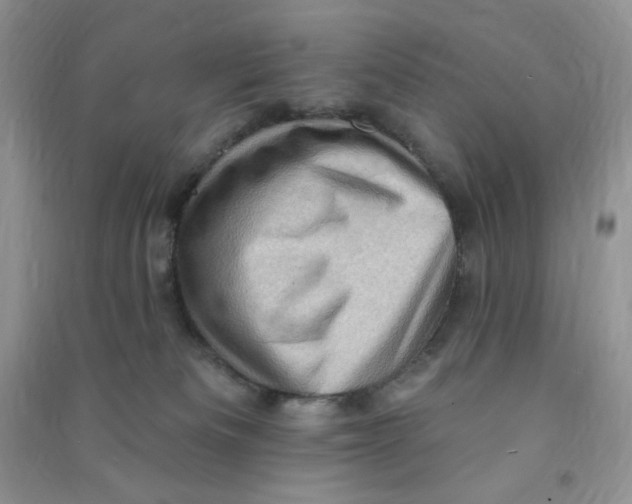 X0000090630133200708141442