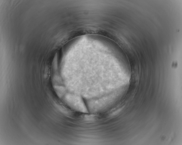 X0000090630134200708141442