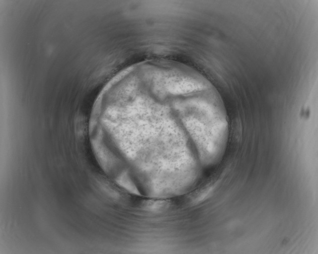 X0000090630135200708141442
