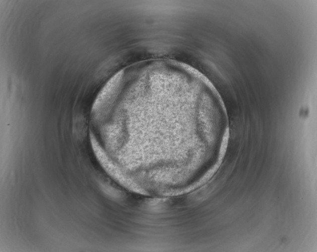 X0000090630136200708141442