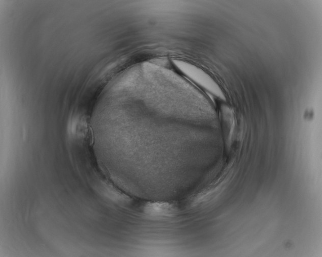 X0000090630137200708141442