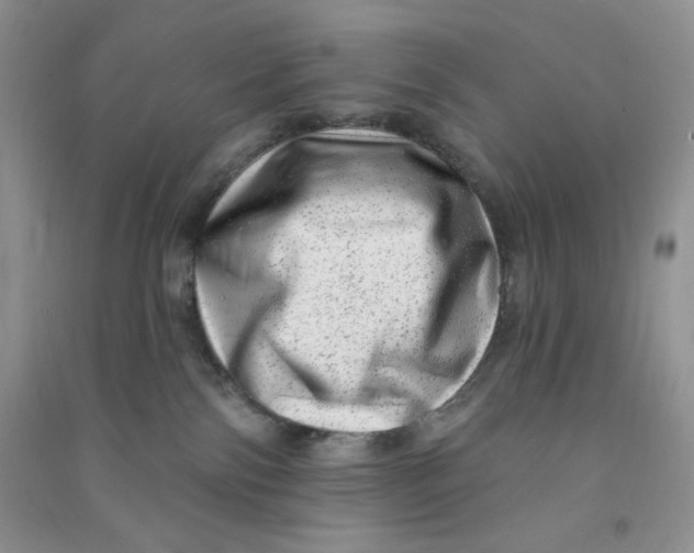 X0000090630138200708141442