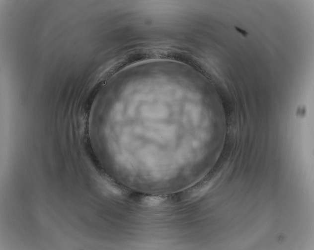 X0000090630139200708141442