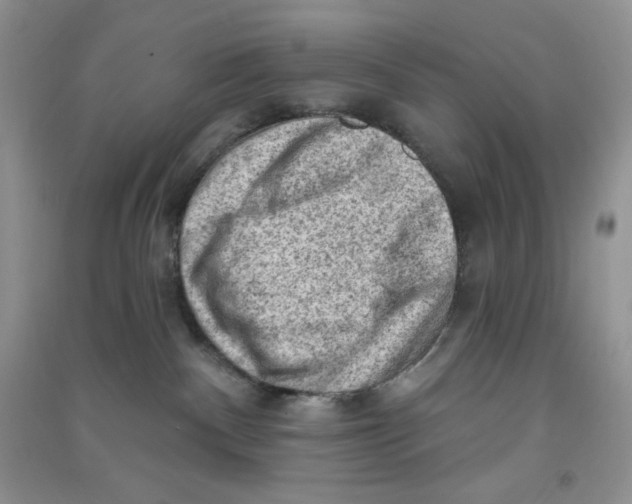 X0000090630140200708141442