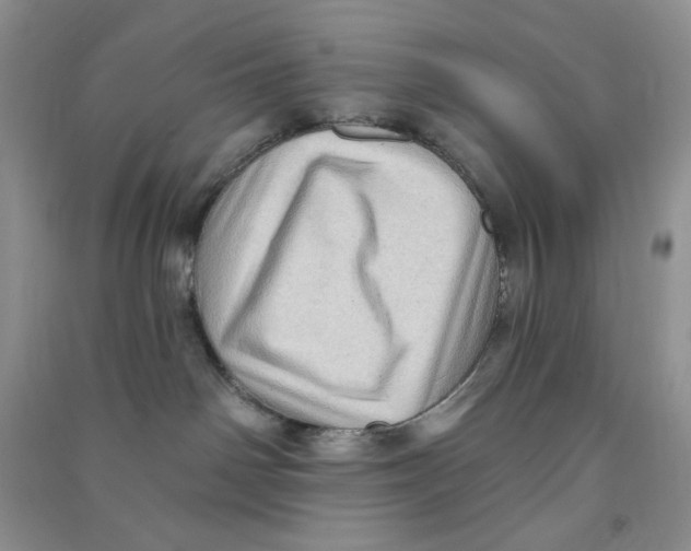 X0000090630142200708141442