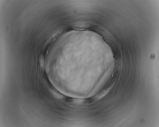 X0000090630143200708141442