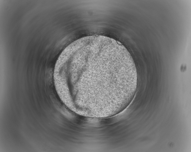 X0000090630144200708141442