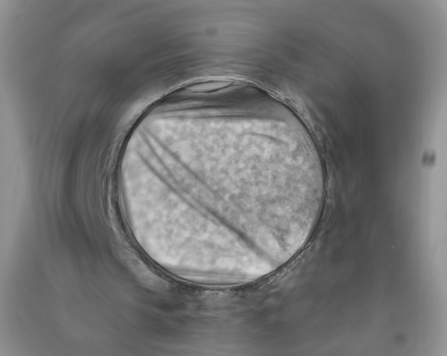 X0000090630145200708141441