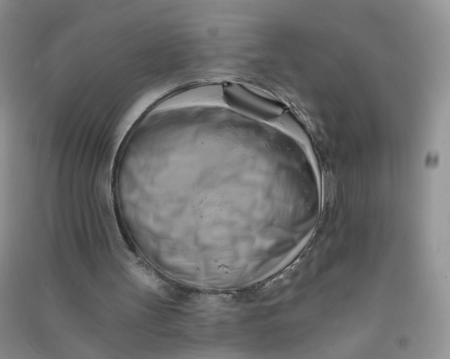 X0000090630147200708141441