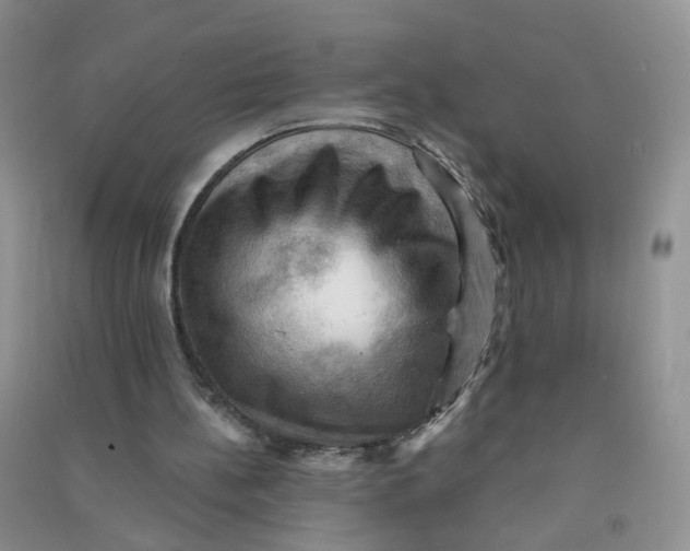 X0000090630148200708141441
