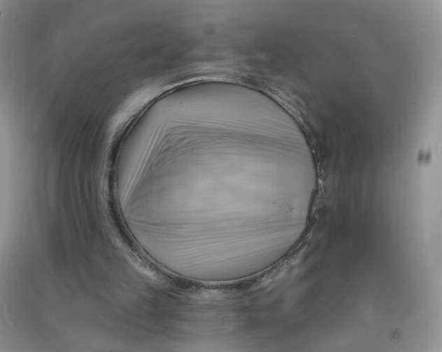 X0000090630149200708141441