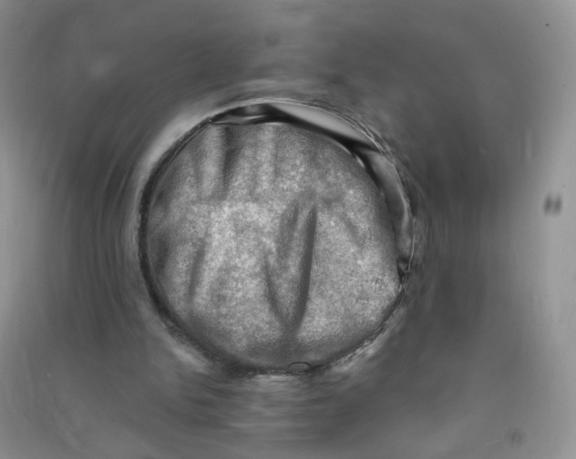 X0000090630150200708141441