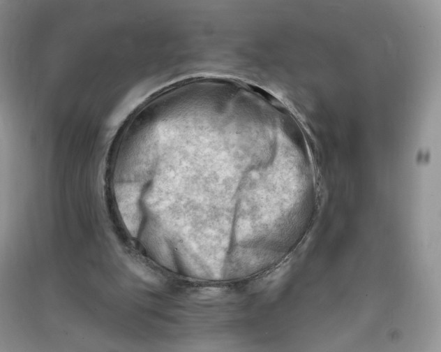 X0000090630151200708141441